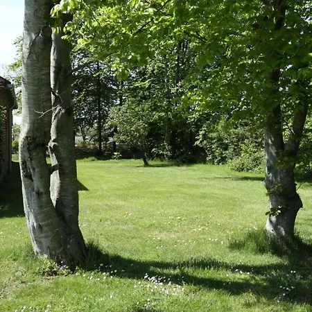 Drelsdorfer Forst * Drelsdorf